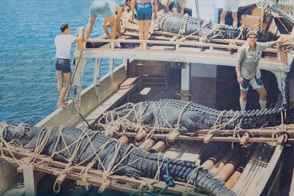 George Craig and crew with three trussed crocodiles on the boat deck